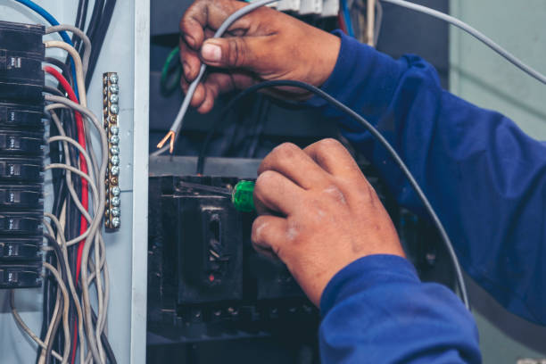 Best Home Electrical Repair  in Waterman, IL